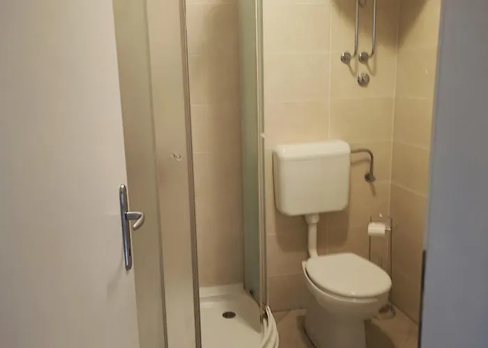 Happy Basset Terrace