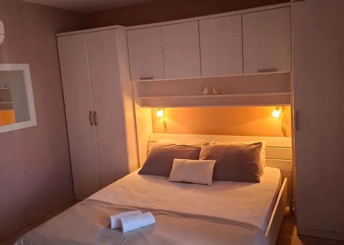 Happy Basset Terrace