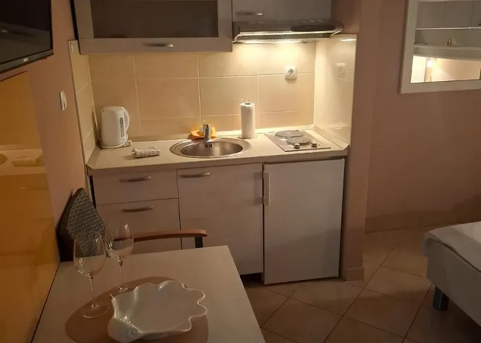 Happy Basset Terrace