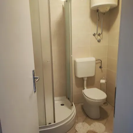 Happy Basset Terrace