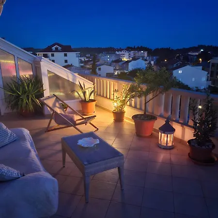 Happy Basset Terrace